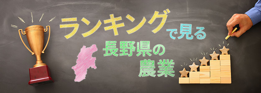 ランキングで見る長野県の農業