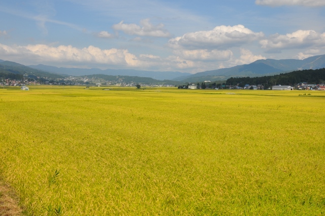 飯山市