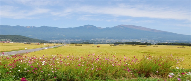 佐久市