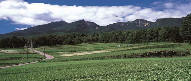 小海町