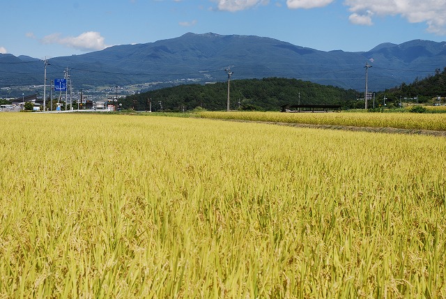 ＪＡ信州うえだ