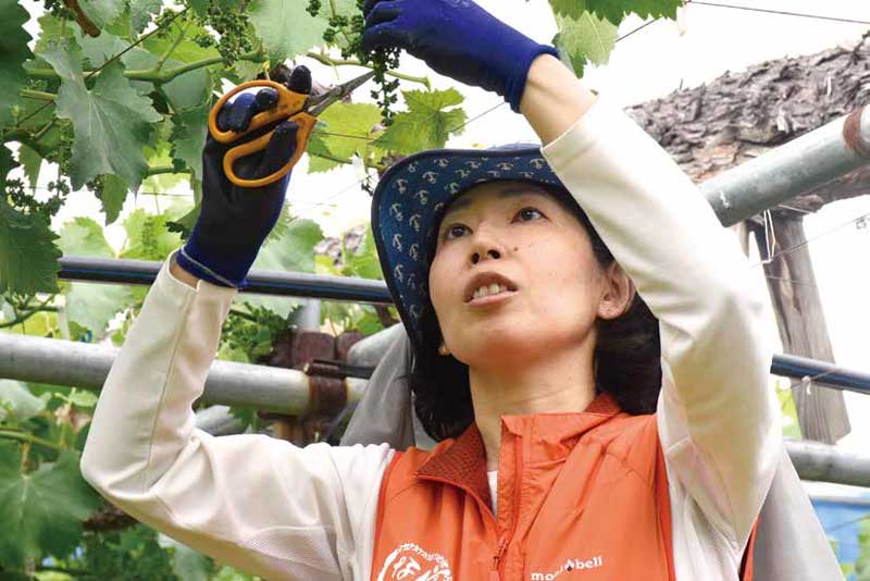 人が集い、笑顔が集う農園をめざして