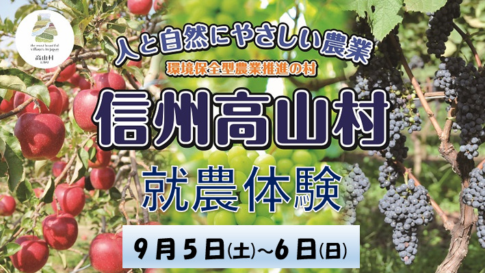 信州高山村就農体験（ぶどう収穫・荷造り等）参加者募集！