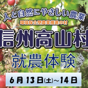 信州高山村就農体験（ぶどう管理作業）参加者募集！