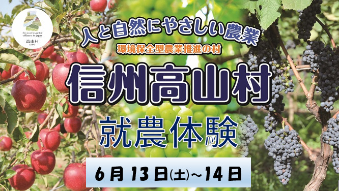 信州高山村就農体験（ぶどう管理作業）参加者募集！