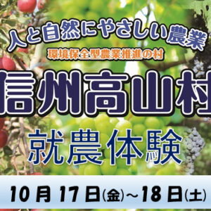 信州たかやま就農体験（ワインぶどう収穫）参加者募集！