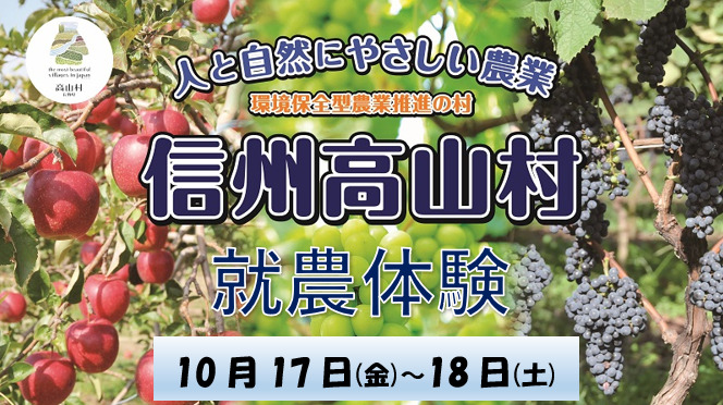 信州たかやま就農体験(ワインぶどう収穫)参加者募集!