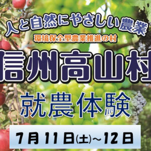 信州高山村就農体験(ぶどう管理作業)参加者募集!
