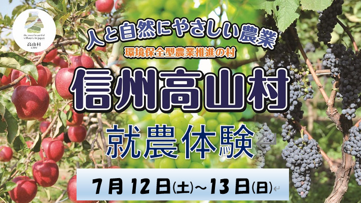 信州たかやま就農体験(ぶどう管理作業)の参加者を募集します!