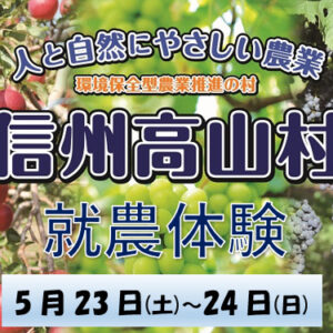 信州高山村就農体験（りんご摘果）参加者募集！