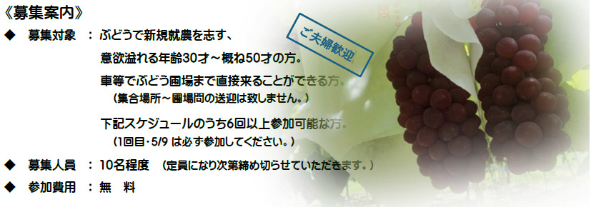 松本市・山辺でぶどう栽培を体験してみませんか！
