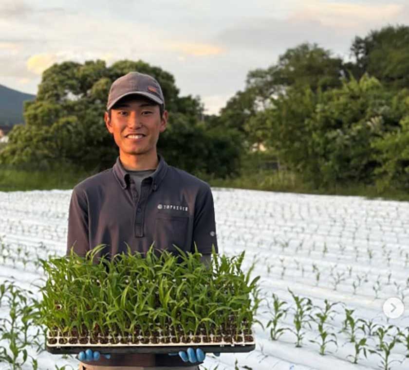 農業法人という選択肢