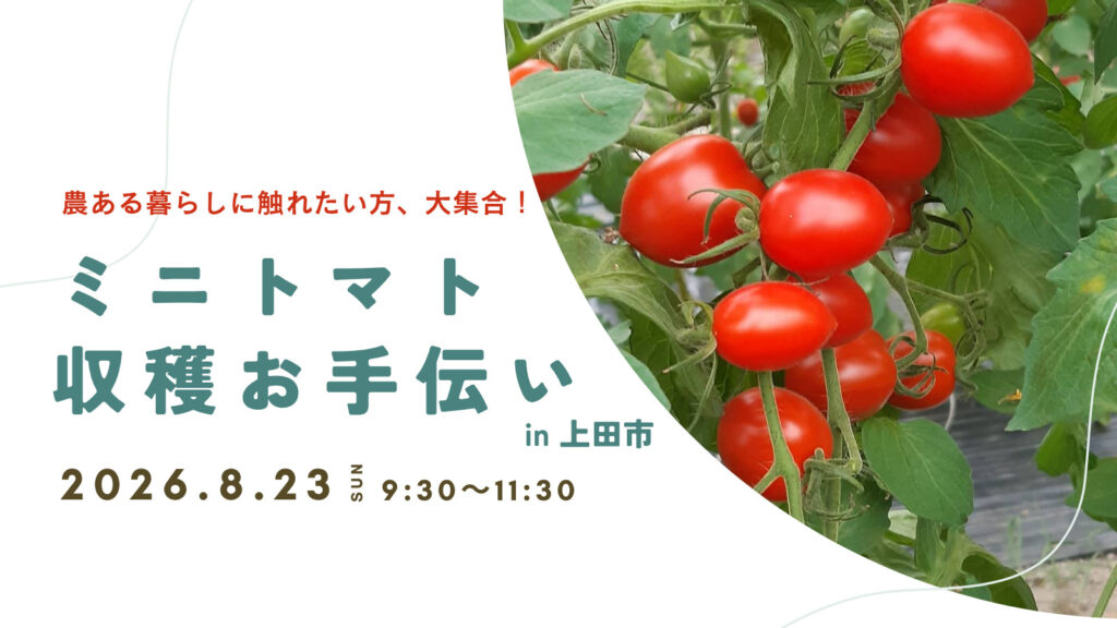 夏の農ある暮らし！ミニトマト収穫お手伝い