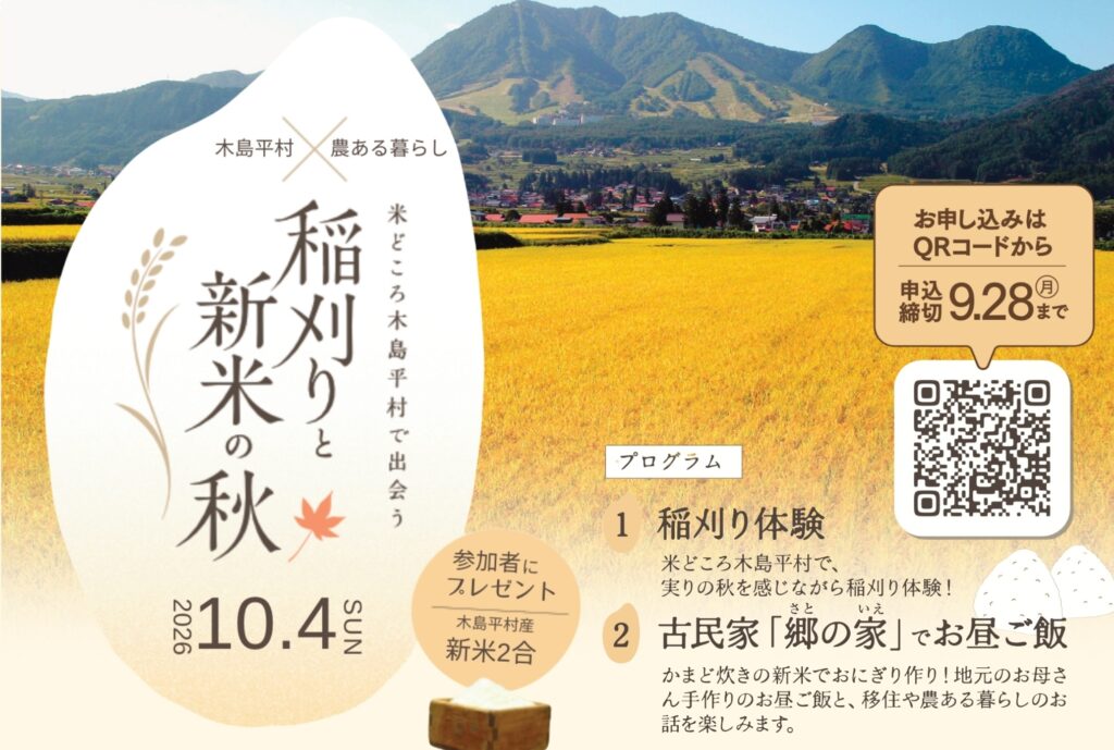 米どころ木島平村で出会う　稲刈りと新米の秋🌾